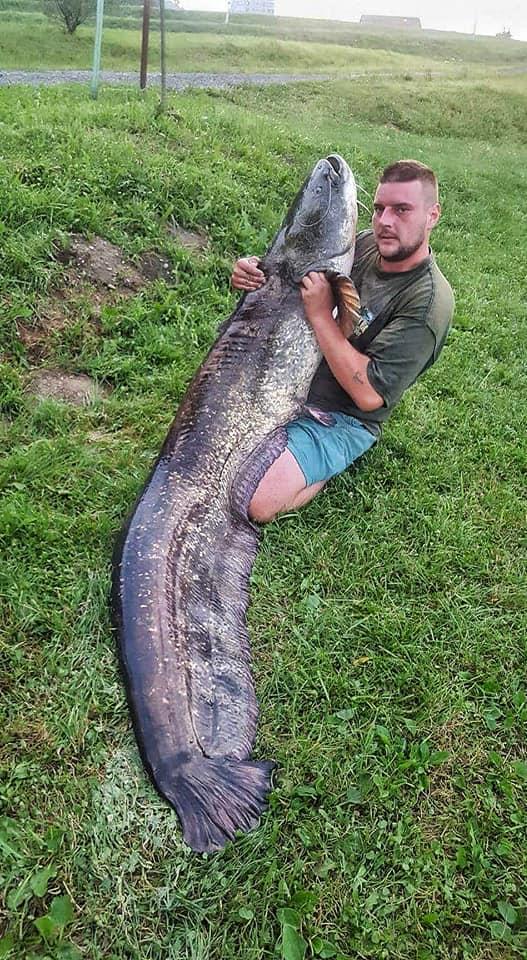 Som C&R (Matjaž Pejovič)